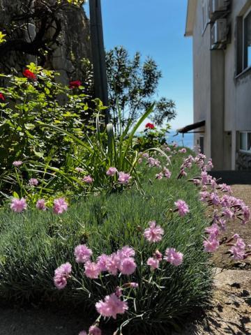 Apartment Mandic - Doma *